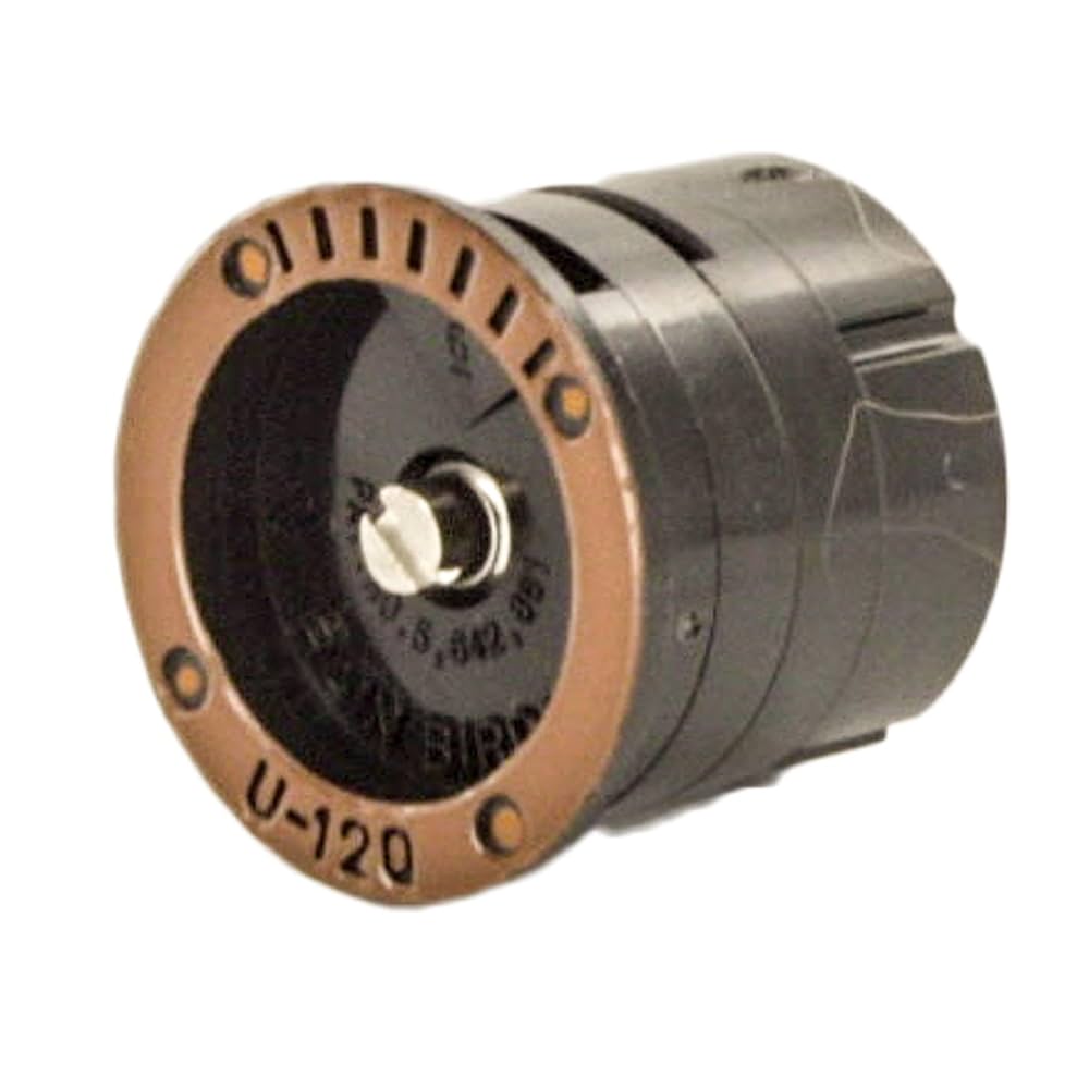 61rJ+qPMtmL._UF1000,1000_QL80_.jpg